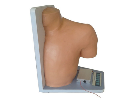 肩关节腔内注射模型SJ/L70