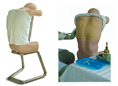 背部（胸部）穿刺训练模型     型号：SJ-CK812