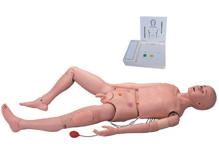  高级成人护理及CPR模型人 型号：SJ/3000