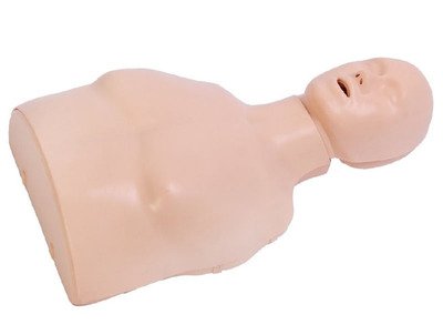  半身心肺复苏训练模拟人（简易型）型号：SJ/CPR167