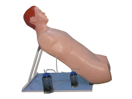 胸腔闭式引流术训练模型   型号：SJ/CK818