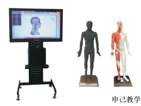  42寸多媒体人体针灸穴位交互数字平台 型号：SJ/WST42M