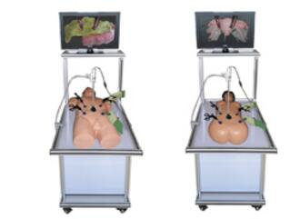 腹腔镜手术技能训练人体模型 型号：SJ/QJ600　　　　　　　　　　　　           